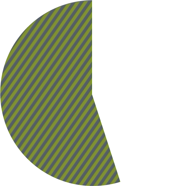 pie chart showing 55 percent