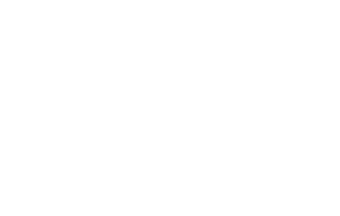 fence